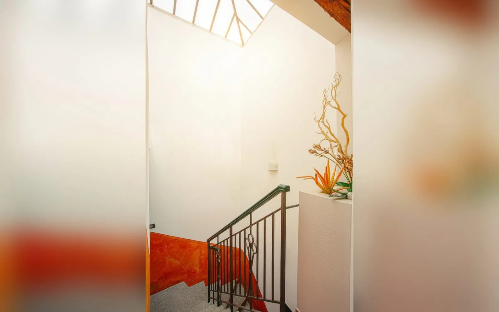 Angel's House, 
